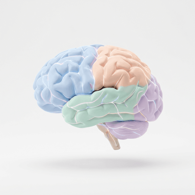 Psychiatry specialty illustration