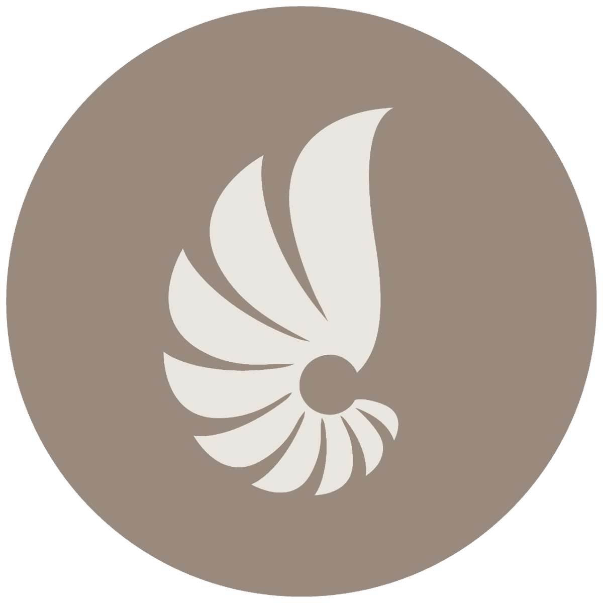 Aesthetics International
