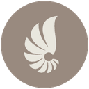 Aesthetics International