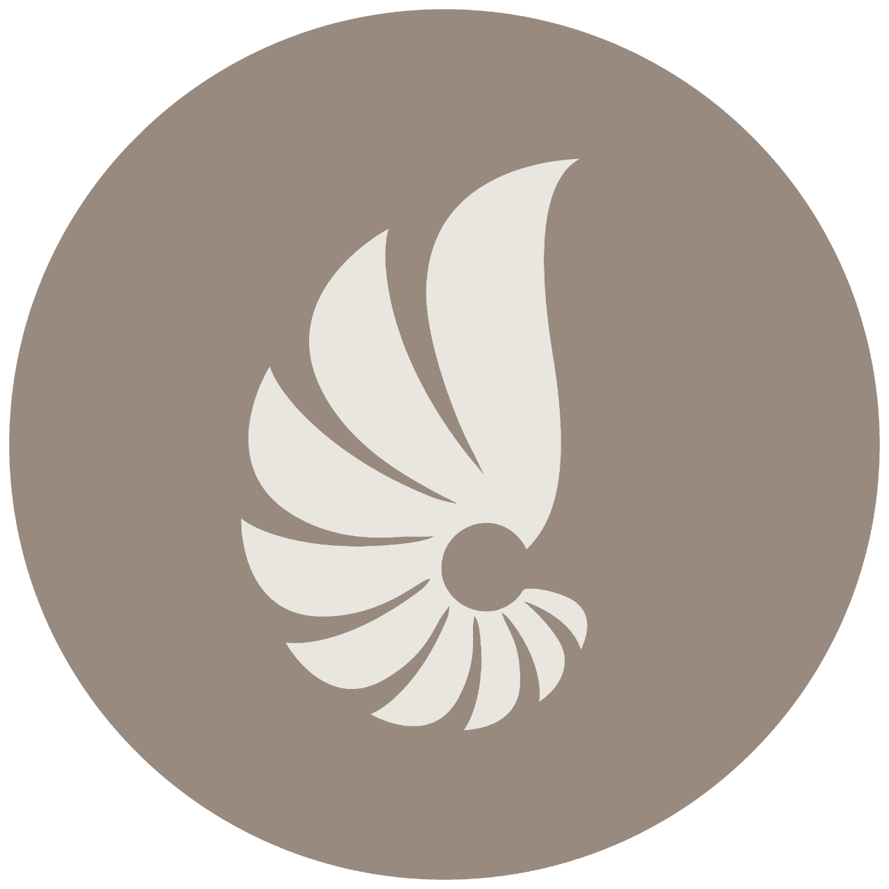 Aesthetics International