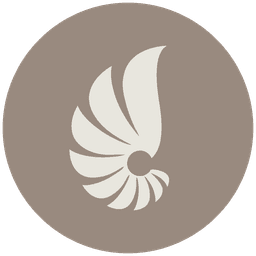 Aesthetics International