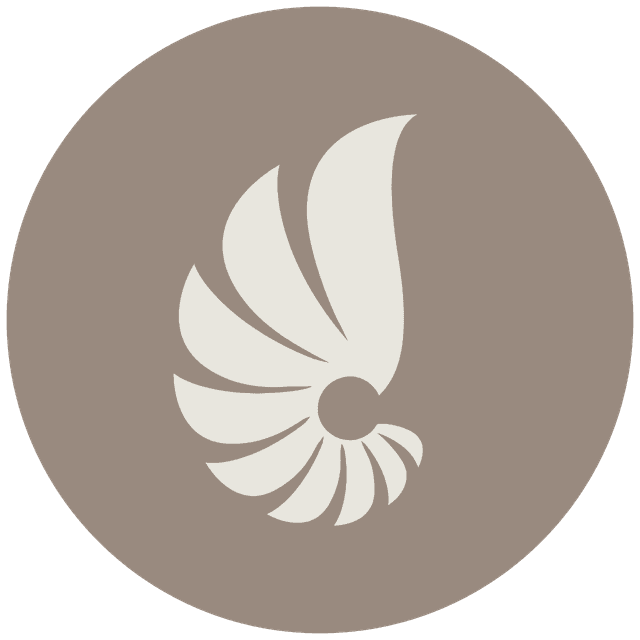 Aesthetics International