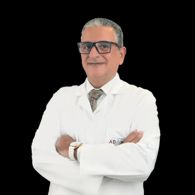 Amr Hussien Mahmoud El Yamany