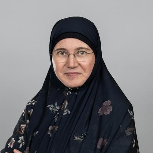 Lizica Itu