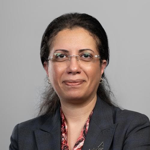 Nermine Farouk Labib Mikhail
