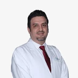Dr Anas Sheikh Al Basatneh
