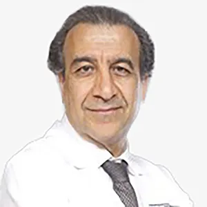 Dr. Morteza Karimiseffat
