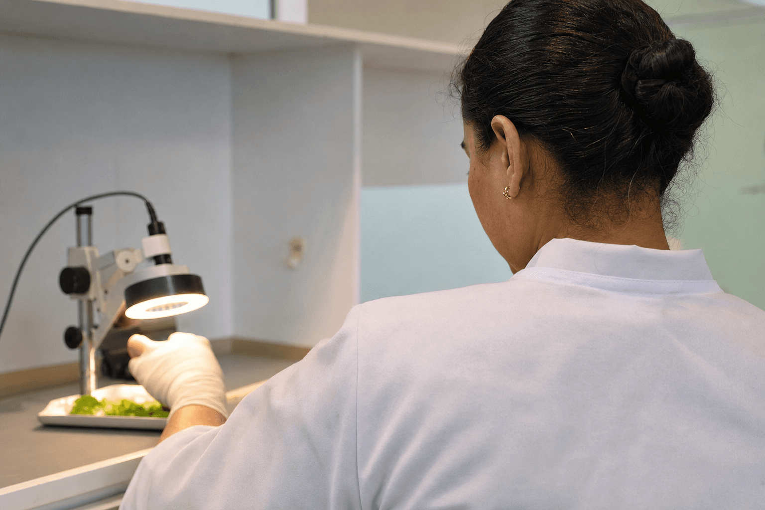 Dubai's Daring Leap into Parasite Detection: Lettuce Safety Tech Unveiled