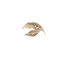 Lux Aeterna