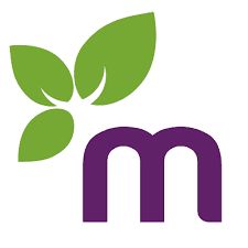 Medicina Pharmacy 41 Fujairah 2 Hamad Bin Abdulla