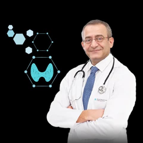 Dr. Alaeddin Saghir