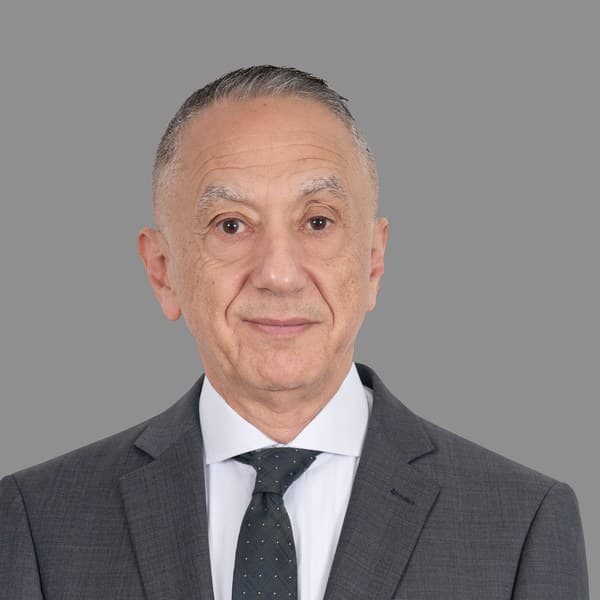 Dr. Mohamed Hussein Abdalla Ahmed Hassan Hobeldin